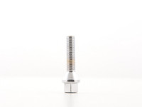 Wheel bolts Set (8 pieces), M12 x 1,5 39mm domed, chrome Wheel bolts Set (8 pieces), M12 x 1,5 39mm domed, chrome