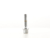 Wheel bolts Set (10 pieces), M12 x 1,5 35mm domed chrome Wheel bolts Set (10 pieces), M12 x 1,5 35mm domed chrome